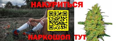 сатива Тулун