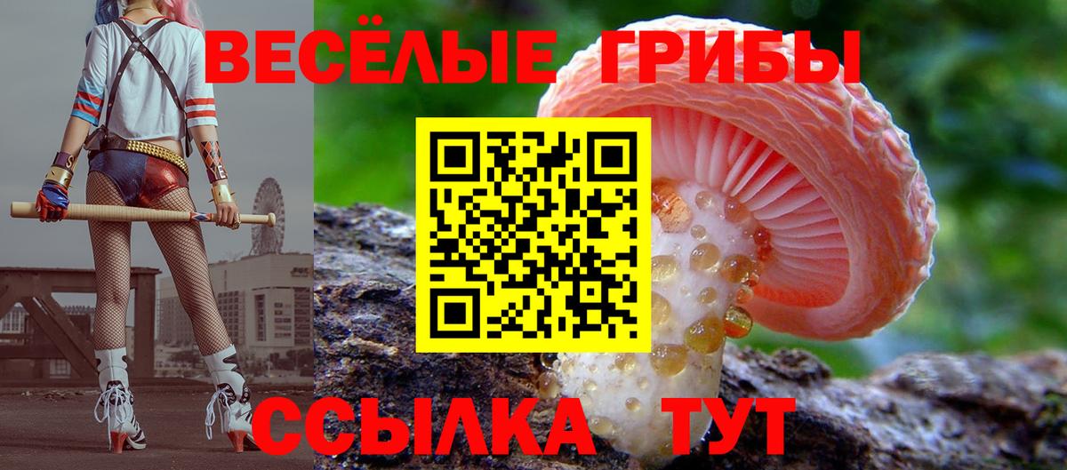 Псилоцибиновые грибы MAGIC MUSHROOMS  Псилоцибиновые грибы прущие грибы  Вход с VPN  Азов 